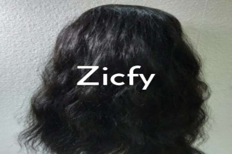 Ladies Full Wig Hair Length 20 24 9809680