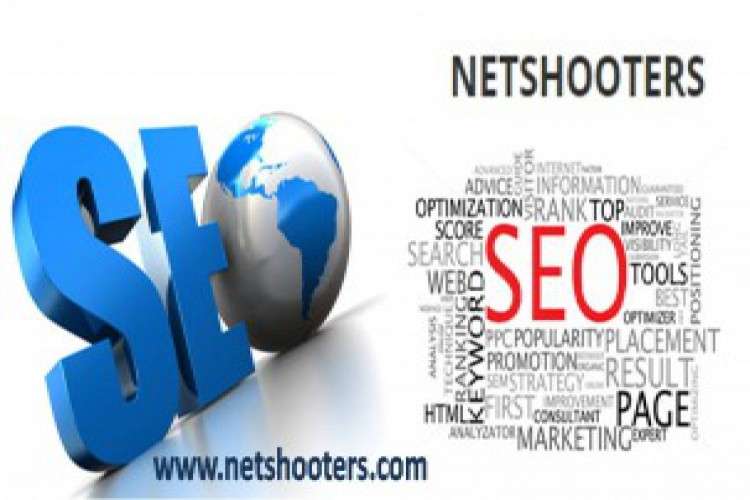 Netshooters Seo Company In Chandigarh 5786470