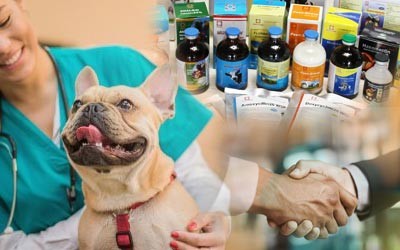 No One Veterinary Pcd Pharma Franchise Company In India 17044469701