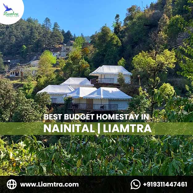 Offer You Budget Homestay In Nainital Liamtra 16717801849