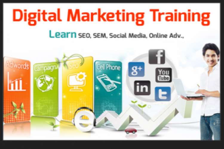 Online Seo Training In Chandigarh Mohali Panchkula 7269021