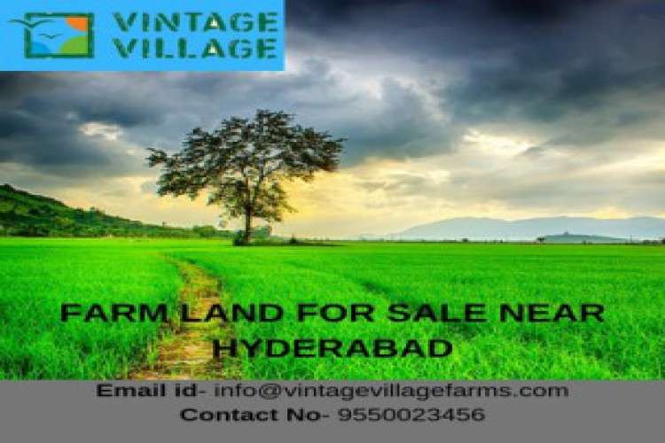 Open Plots In Hyderabad 3399782