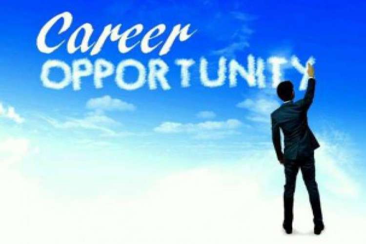 Oppurtunity To Develop Your Career With Krazy Mantra 4969613