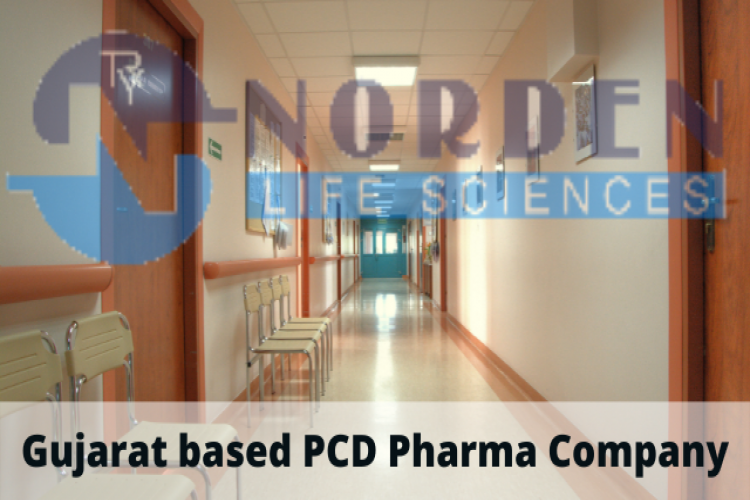 Pcd Pharma Company In Gujarat 16378414660