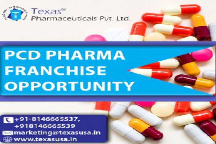 Pcd Pharma Franchise Opportunity 573106