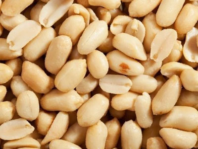 Peanut Exporter And Supplier India   Dhanraj Enterprise 173631372210