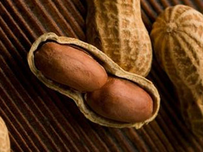 Peanut Exporter And Supplier India   Dhanraj Enterprise 17363137235