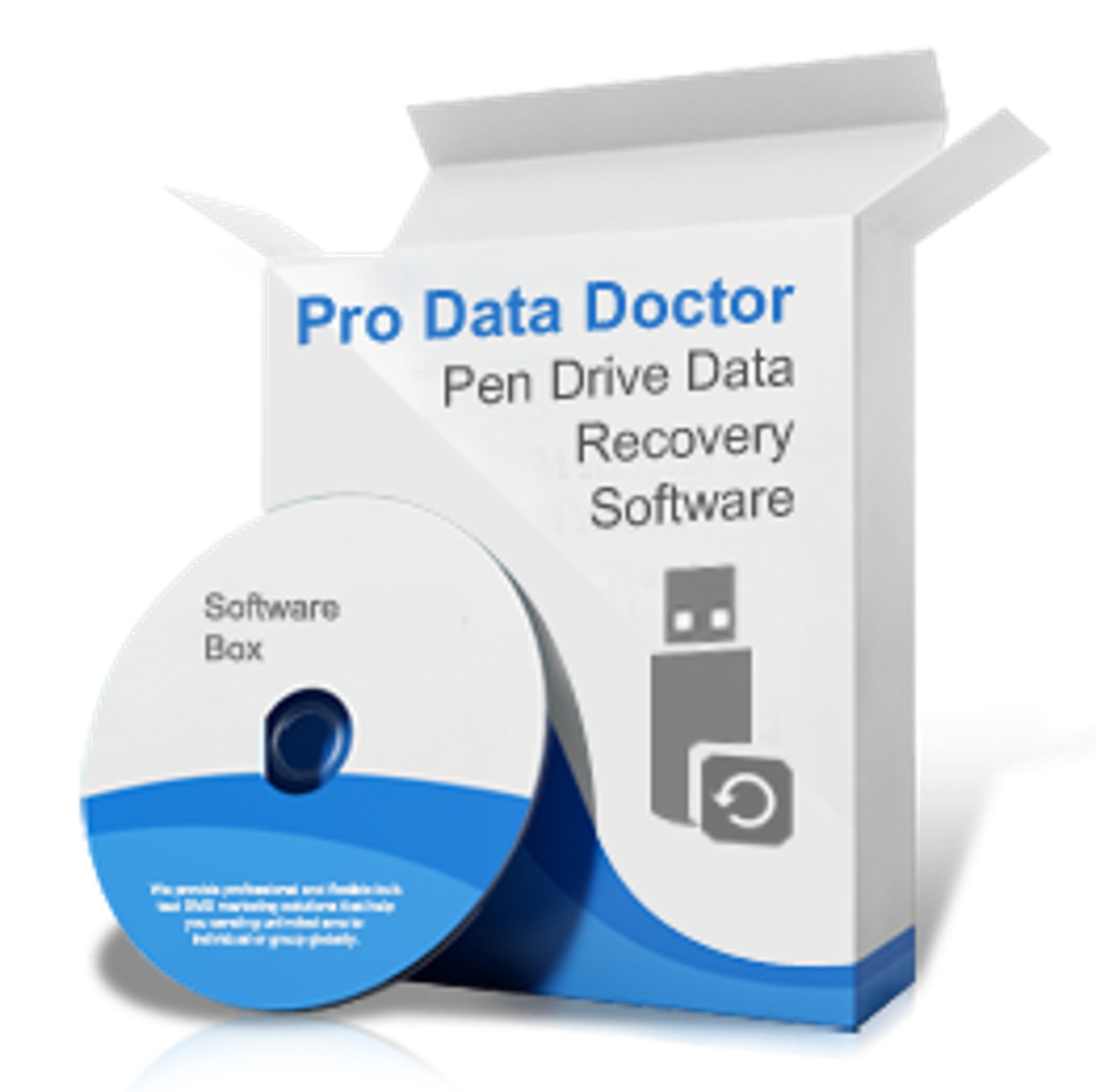 Pend Rive Data Recovery 16803472392