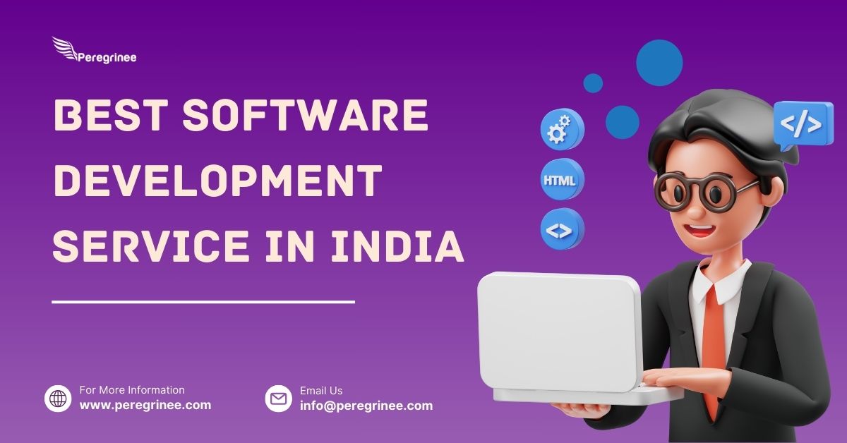 Peregrinee Offers The Best Software Development Service In India 17368583667