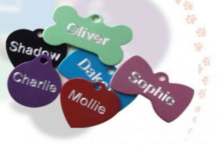 Pet Tags International 4119574