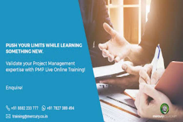 Pmp Course Online Training 16293533648