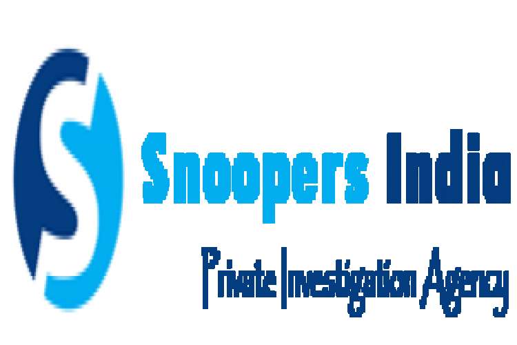 Pre  Matrimonial Investigations In Delhi   Snoopers India 141111