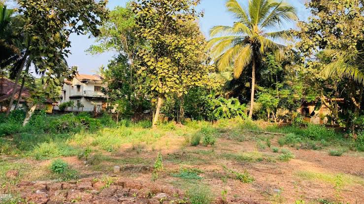 Prime Land For Sale In Goa Make Your Investment Today 17375416297