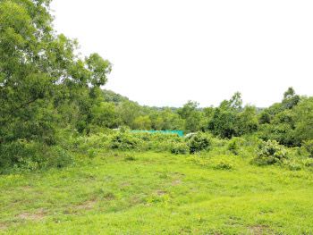 Prime Land For Sale In Goa Make Your Investment Today 17375416308