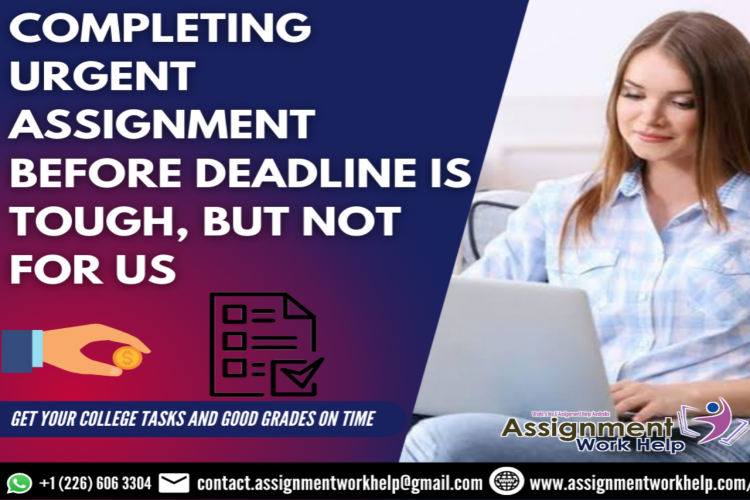 Project Management Assignment Help 16305910495