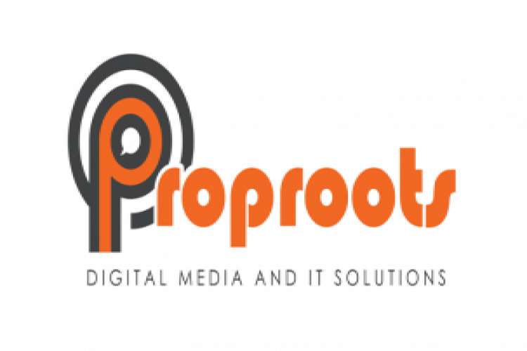 Proproots   Digital Marketing Company 5781184