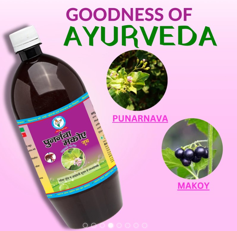 Punarnava Makoi Juice Natural Remedy For Liver And Kidney Health 17375476905