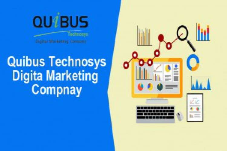 Quibus Technosys Best Digita Marketing Compnay 6086208