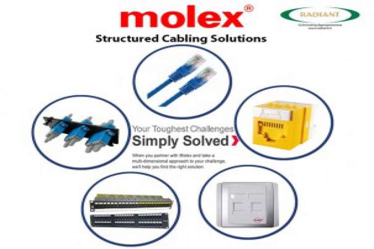 Radiant   Molex Structured Cabling 3837435