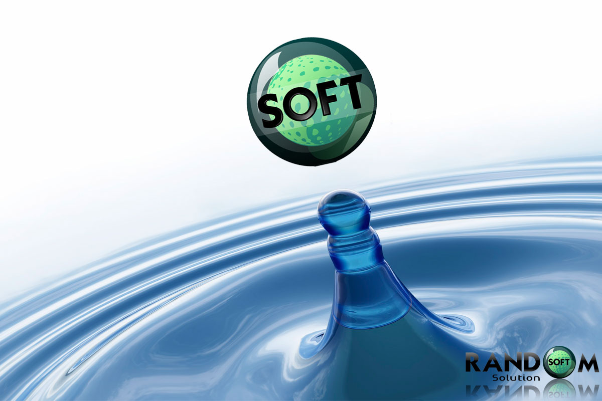 Random Soft Solution It Services It Consulting Services 17029652243