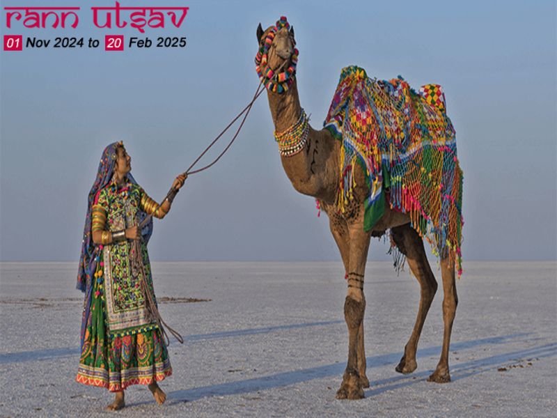 Rann Utsav Kutch White Desert Tent Booking Prices 17323439363