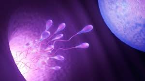 Reliable Infertility Treatment In Jaipur 16579681191