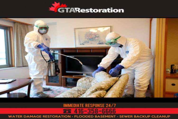 Sanitization Services Delhi 2082356