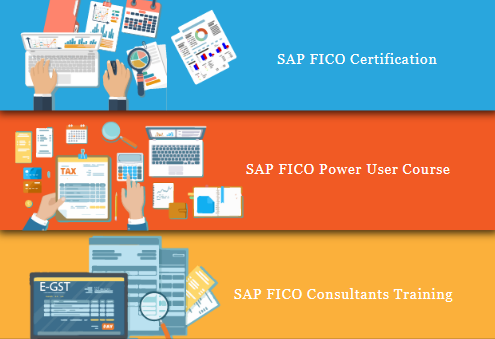 Sap Fico Course In Laxmi Nagar Delhi Job Guarantee 16791232819