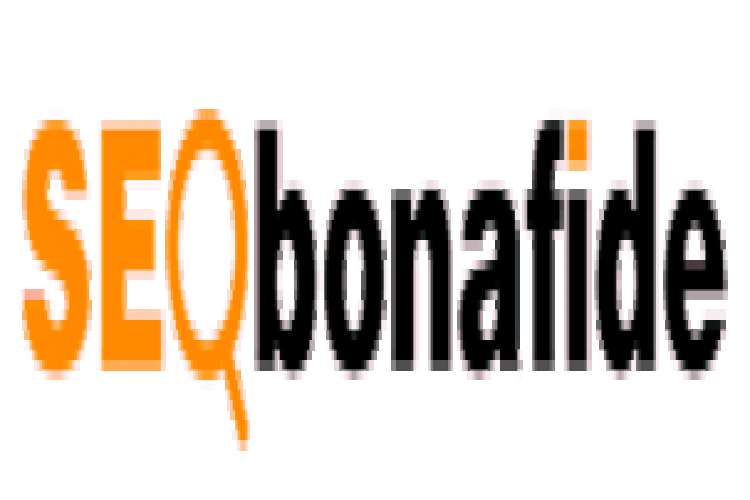 Seo Bonafide   Best Web Design Company 5198132