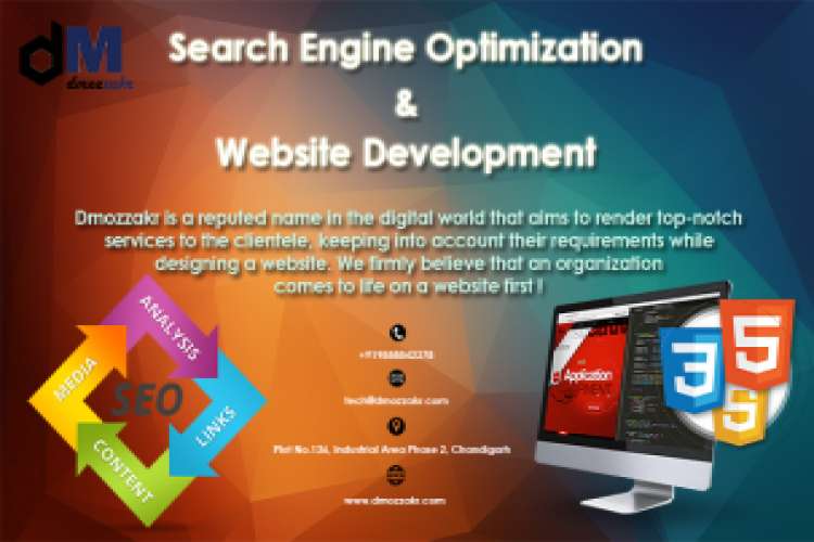 Seo Company In Chandigarh 8665127