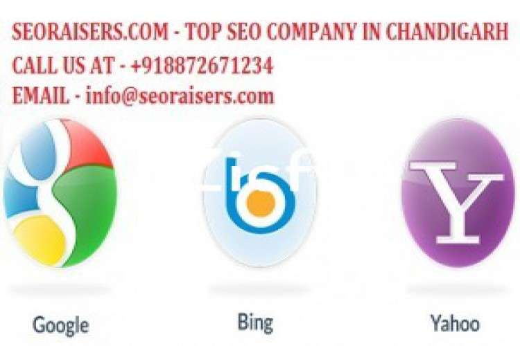 Seoraisers Best Seo Company In Chadnigarh 9241068