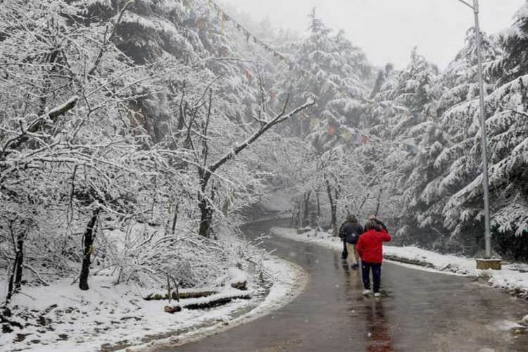 Shimla Honeymoon Package 16463946712