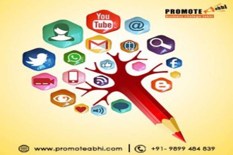 Social Media Marketing Company India Social Media Agency Delhi 7239997