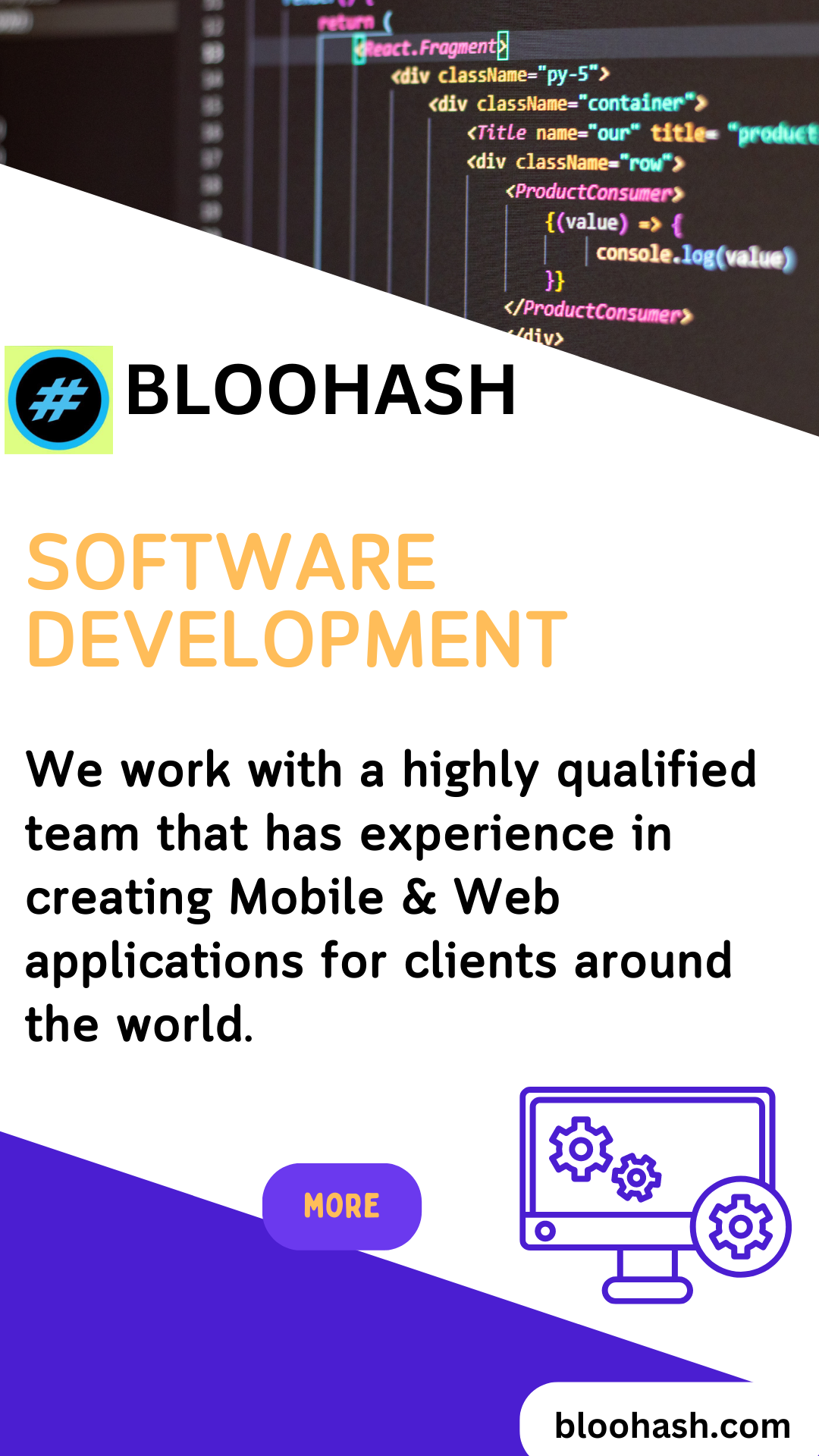 Software Development Company In India  Bloohash 16817164634