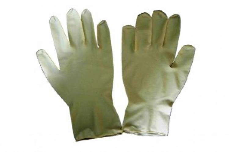 Sterile Surgical Gloves 2750163