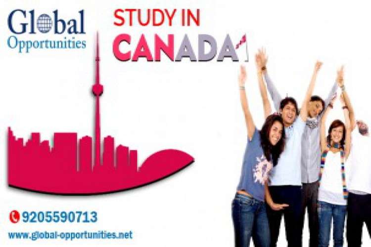 Study In Canada   Global Opportunities 5817588