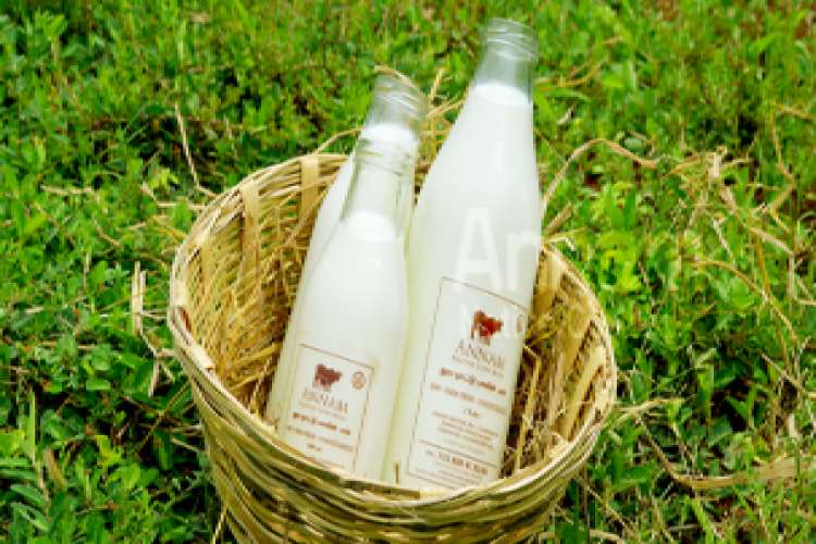 The Best Farmhouse Milk For Your House 6989693