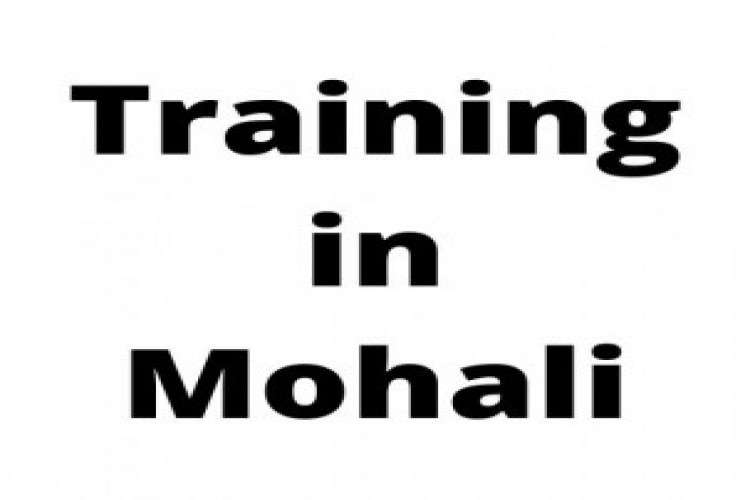 Training In Mohali Digital Marketing Institute 5130329