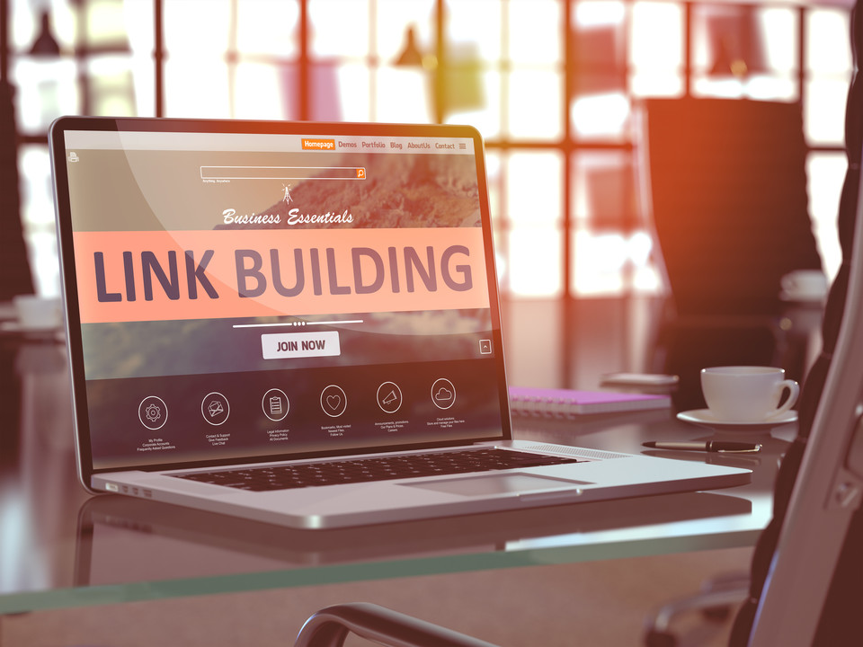 Unleash Your Websites Full Power With Expert Link Building Services 17242316311