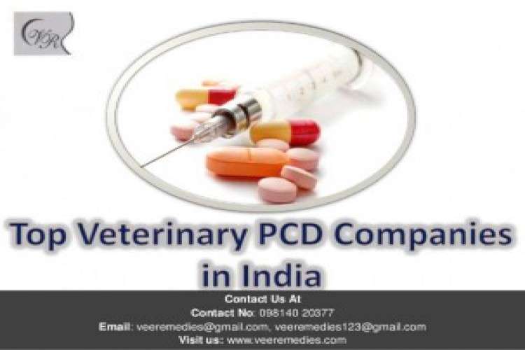 Veterinary Pcd Companies In India 2548622