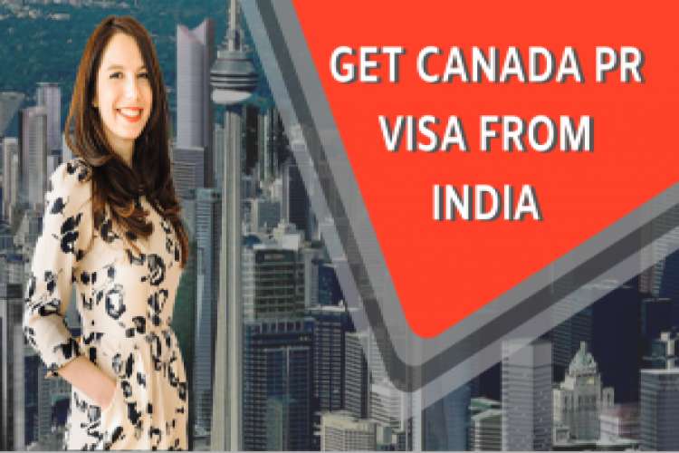 Visa Immigration Consultants In Faridabad  Tripleibusiness 6004268