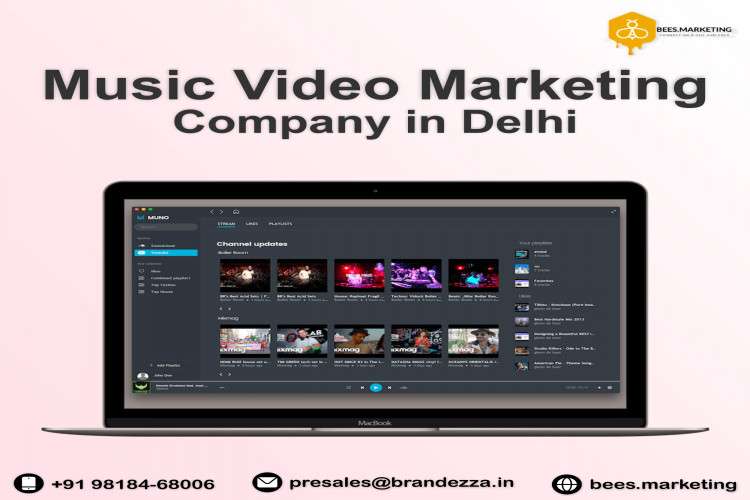 We Are Best Music Video Marketing Company In Delhi 16391191142