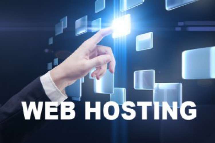 Web Hosting Company In Delhi 6060152