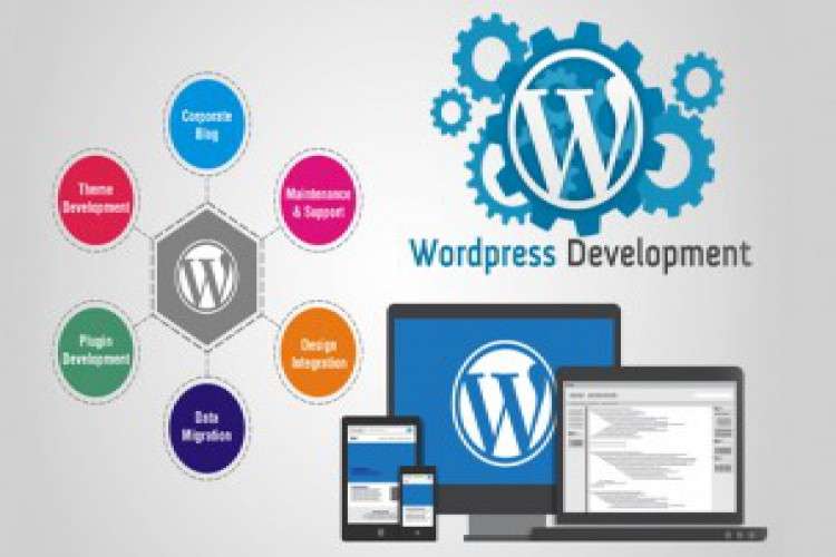 Website Development Company In Canada 8291136