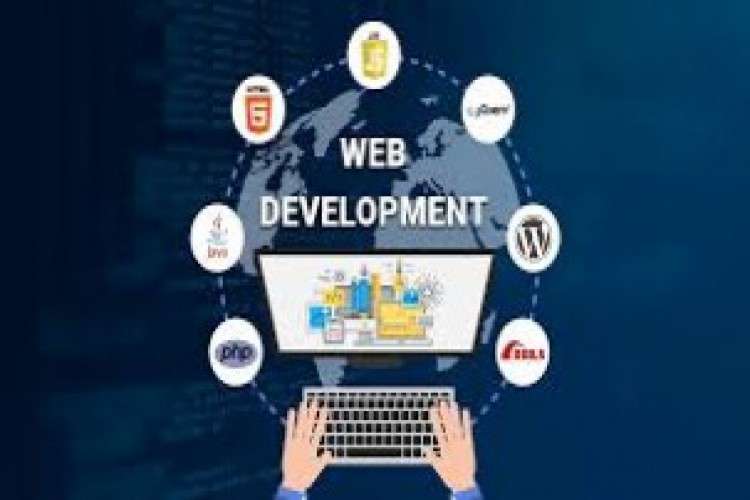 Website Development Website 8602781