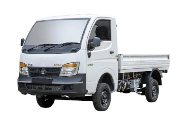 What Are The Common Uses For Small Trucks 17296635370