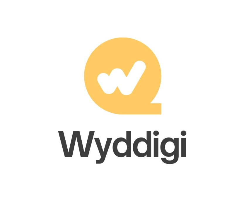 Wyddigi Agency   Digital Marketing Agency In Dhayari 16906160058