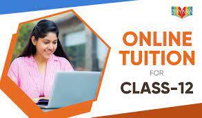 Ziyyara Comprehensive Online Home Tuition For Class Twelve 16838959180